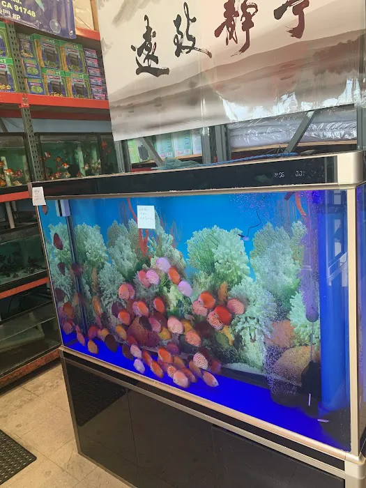 House Aquarium Picture 8