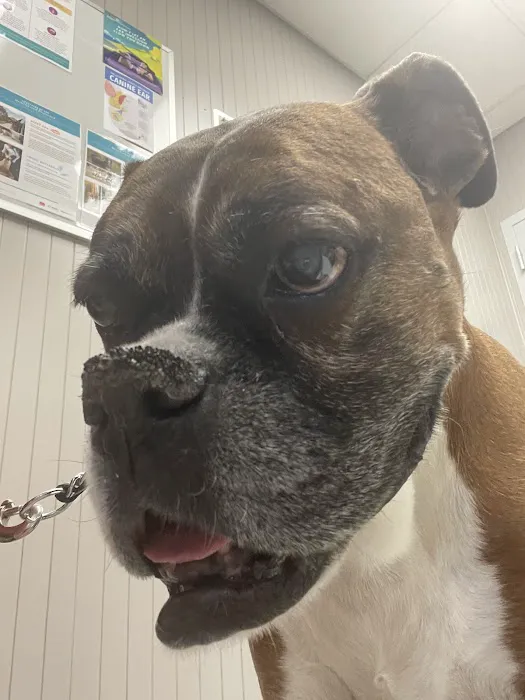 Hilton Hospital for Animals Picture 9