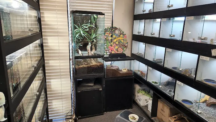 Reptile Island Picture 7