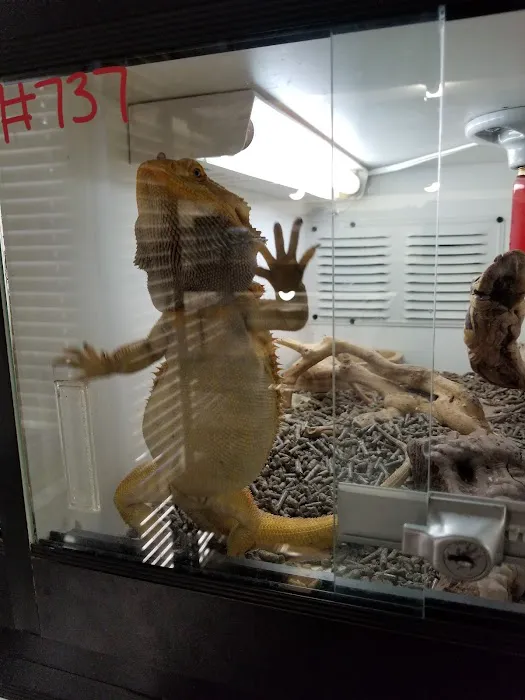 Reptile Island Picture 5