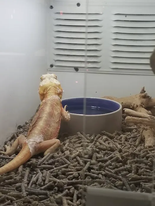 Reptile Island Picture 1