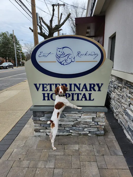 East Rockaway Veterinary Hospital Picture 3