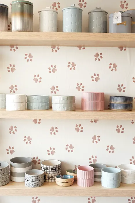 Barkers Dog Boutique Picture 3