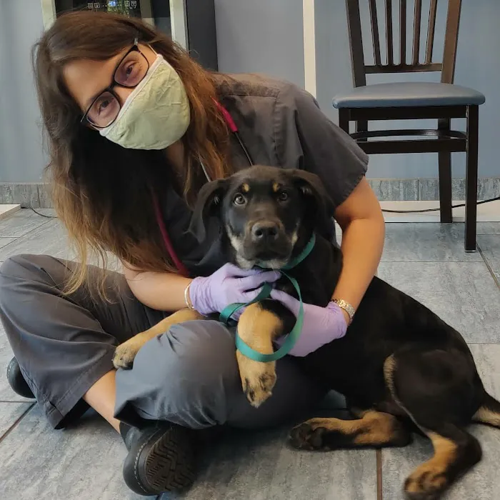 Veterinary Care Group - Glen Oaks Picture 6