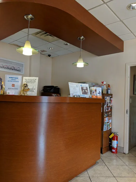 Little Neck Veterinary Clinic Picture 2