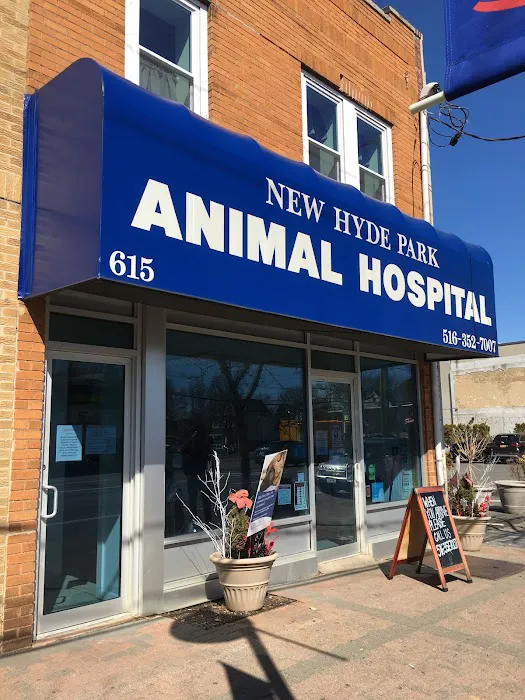 New Hyde Park Animal Hospital Picture 6