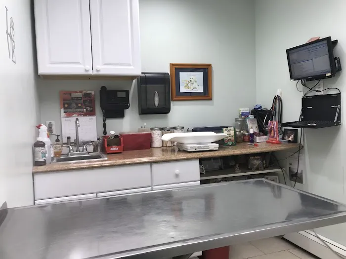 New Hyde Park Animal Hospital Picture 5