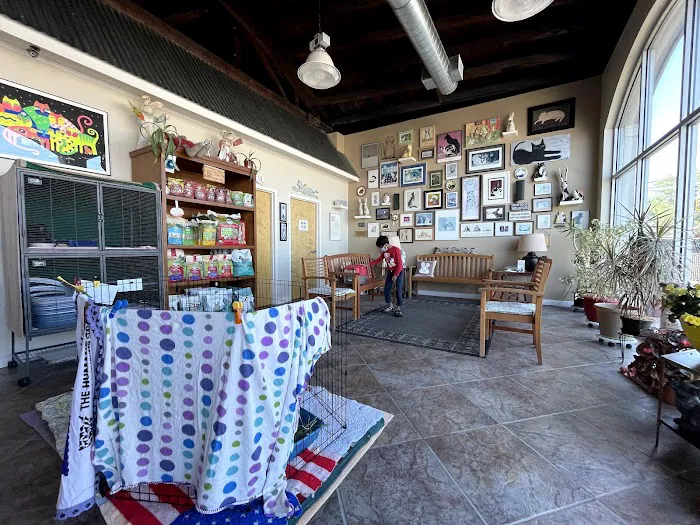 Catnip and Carrots Veterinary Hospital Picture 5