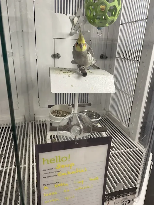Petco Picture 9