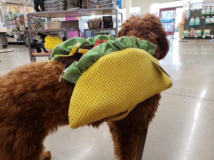 Petco Picture 5
