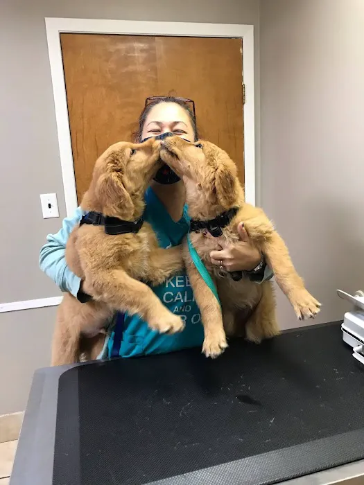 Banfield Pet Hospital Picture 4