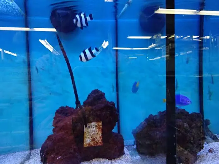 Petco Picture 4