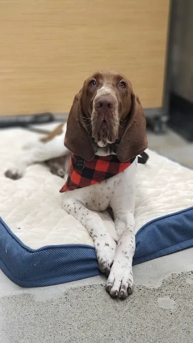 Petco Picture 10