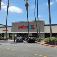 Petco ico