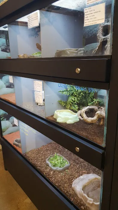 Super Pets Picture 3