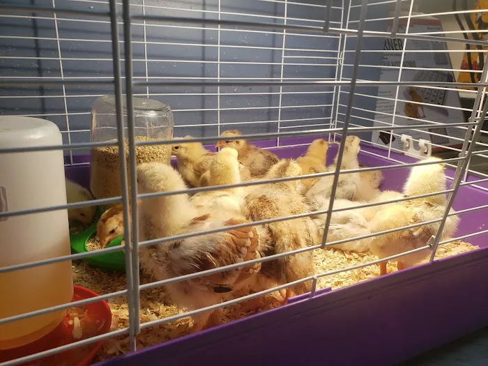 Wagon Train Feed & Pet Picture 6
