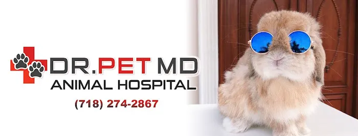 Dr Pet MD Picture 2