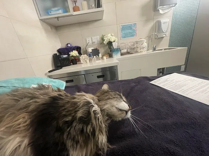 Dr Pet MD Picture 3
