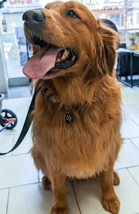 Dr Pet MD Picture 5