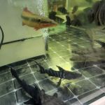 Van Star Aquarium