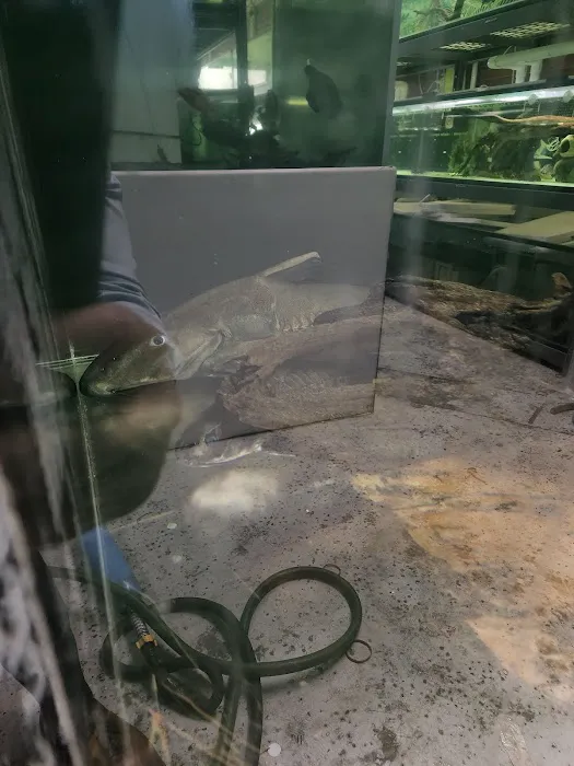 Van Star Aquarium Picture 4