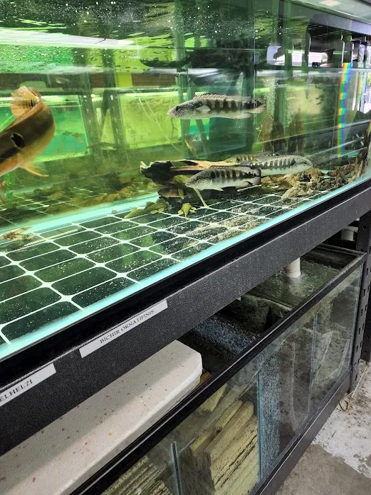 Van Star Aquarium Picture 9