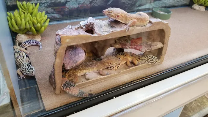 Petco Picture 1