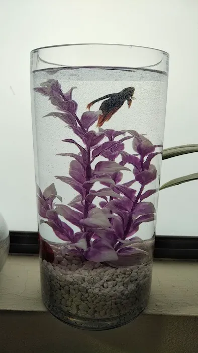 Petco Picture 10