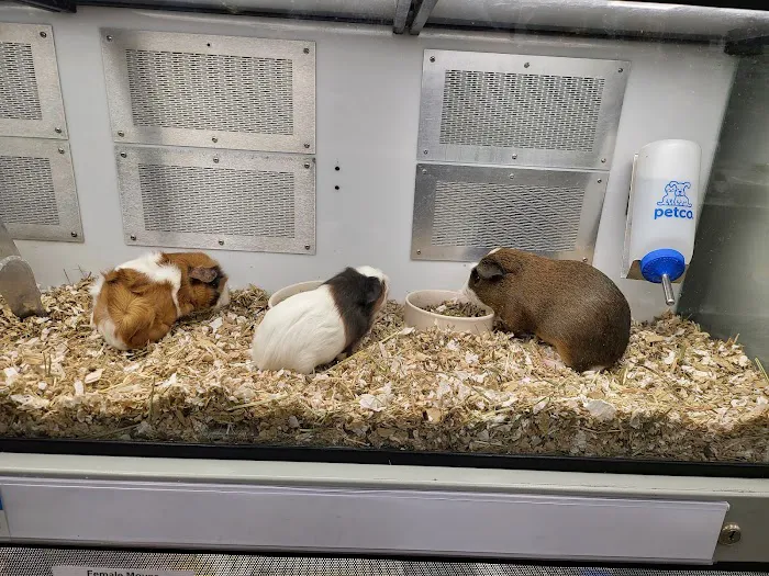Petco Picture 6