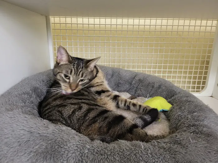 Petco Picture 2
