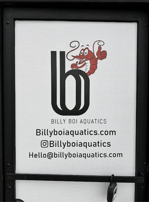 Billyboi Aquatics Picture 2
