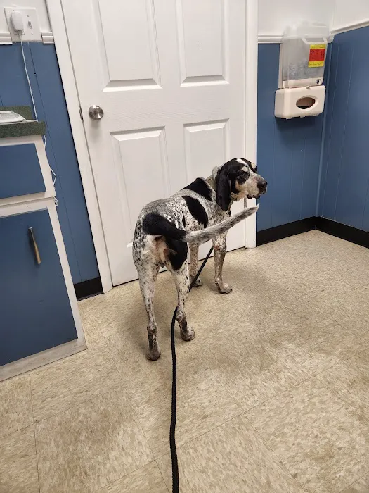 Roman Acres Veterinary Hospital Picture 8