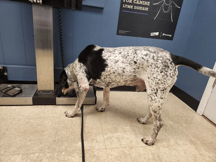Roman Acres Veterinary Hospital Picture 5