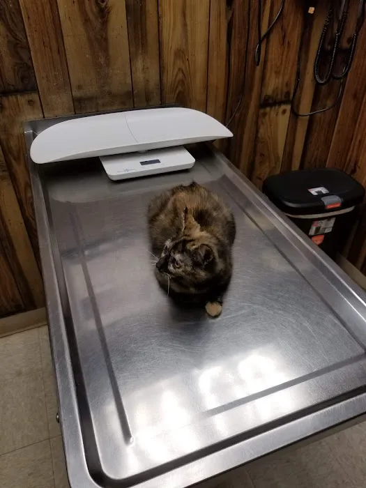Roman Acres Veterinary Hospital Picture 2