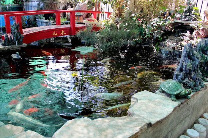 CK Aquarium Picture 5