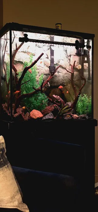 CK Aquarium Picture 2