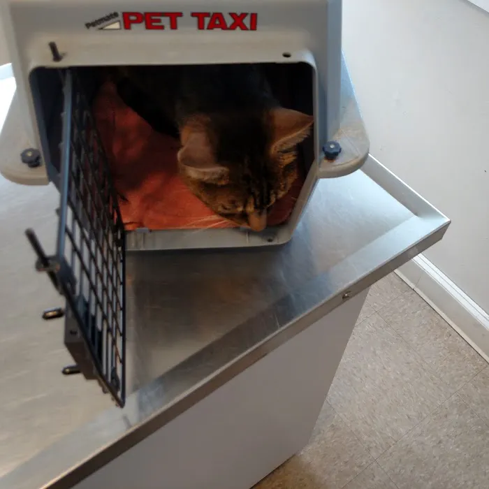 Country Care Veterinary Center, PLLC Picture 10