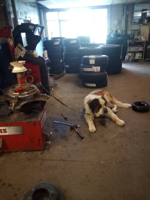Country Care Veterinary Center, PLLC Picture 9
