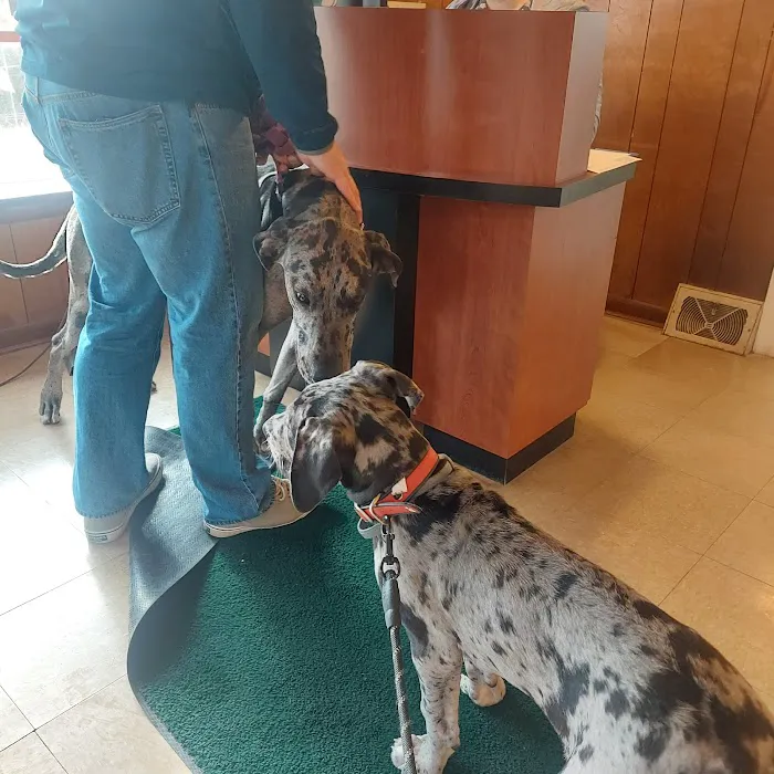 Country Care Veterinary Center, PLLC Picture 5