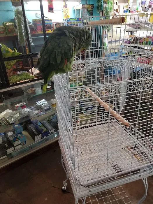 Jack's Pet Shop Picture 1