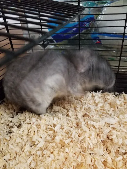 Jack's Pet Shop Picture 7
