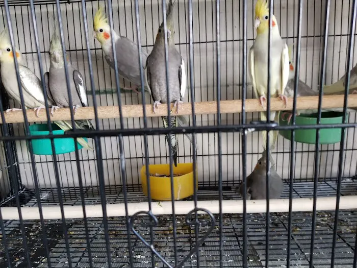Jack's Pet Shop Picture 5