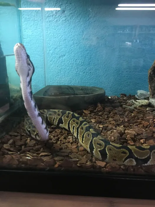Jack's Pet Shop Picture 8