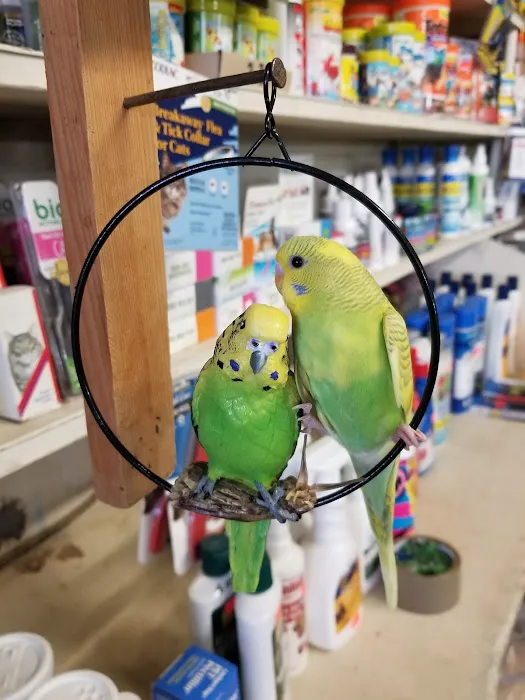 Jack's Pet Shop Picture 10