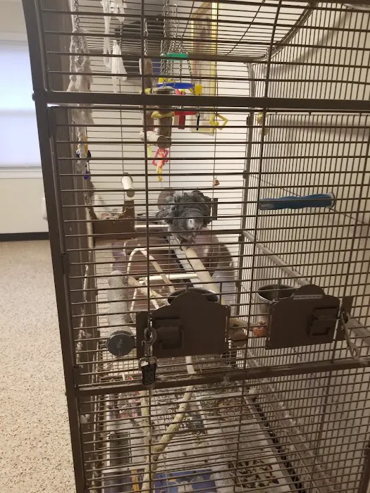 Animal Hospital of White Plains Picture 8