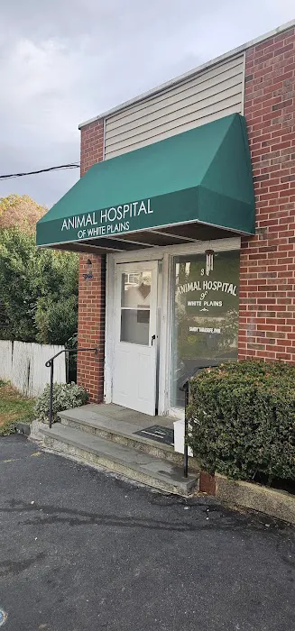 Animal Hospital of White Plains Picture 4