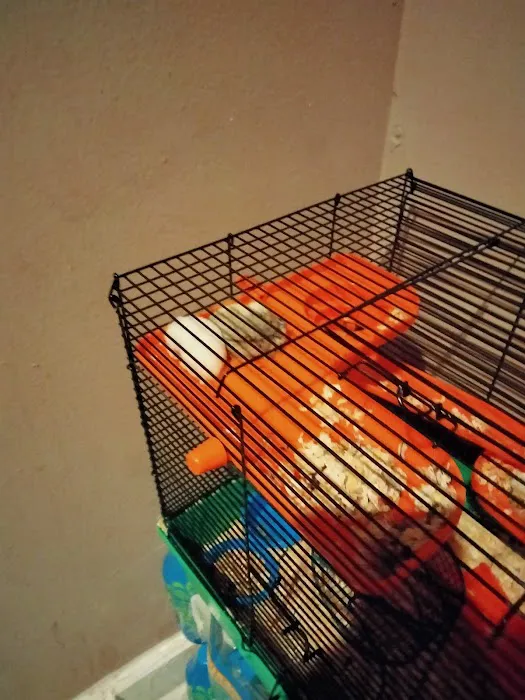 Birdman Pet Shop Picture 1