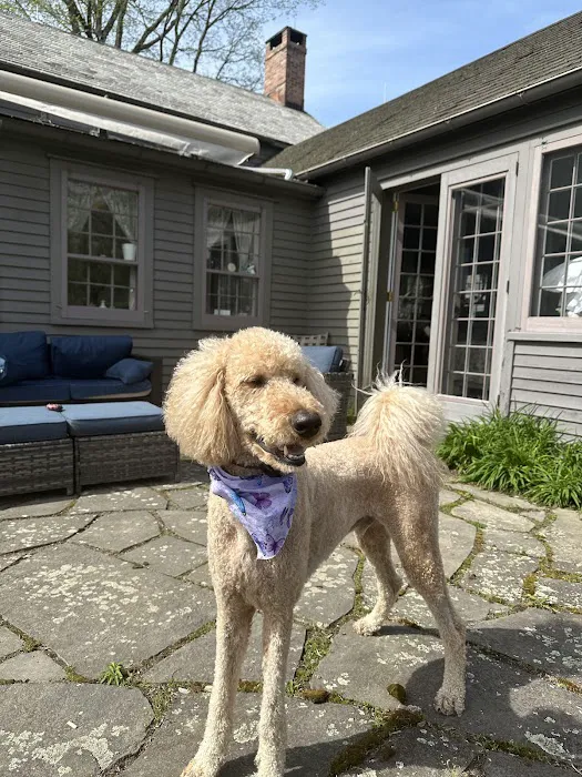 Pine Plains Veterinary Hospital Picture 8