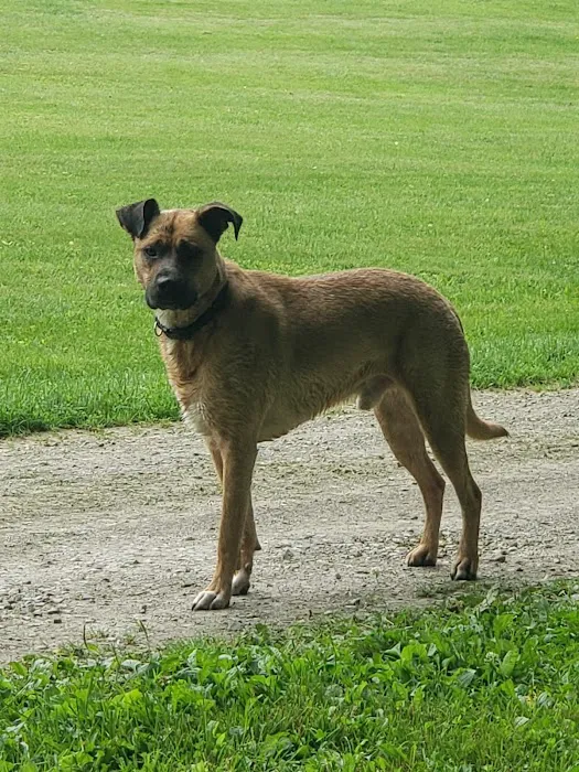 Pine Plains Veterinary Hospital Picture 4
