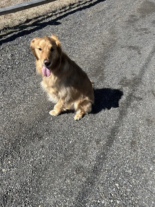 Pine Plains Veterinary Hospital Picture 6